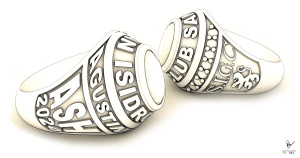 Modelado de este tipo de anillos de grado www.pacart3d.com